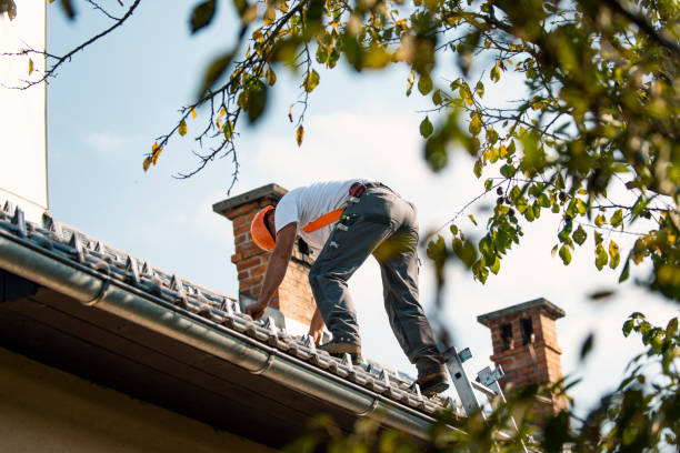 Best Emergency Roof Repair Services  in Baywood Park, CA