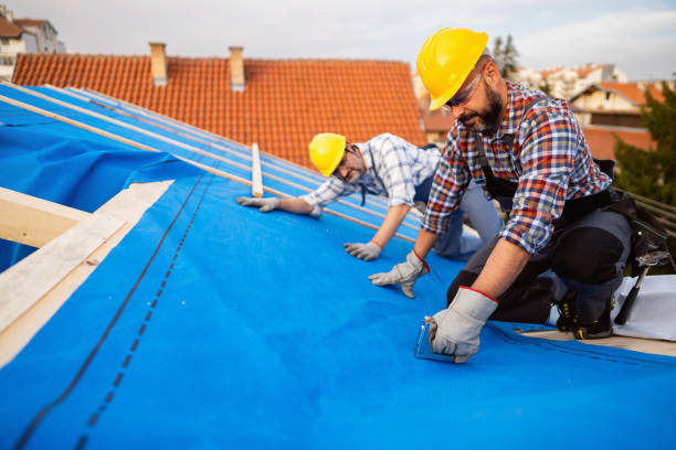 Best Roof Insulation Installation  in Baywood Park, CA