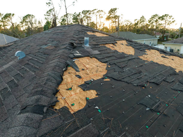 Best Roof Moss and Algae Removal  in Baywood Park, CA