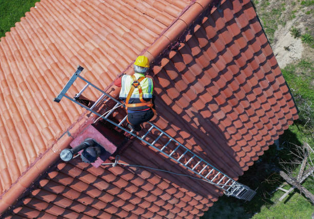 Best Asphalt Shingles Roofing  in Baywood Park, CA