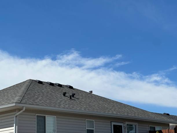 Best Slate Roofing  in Baywood Park, CA